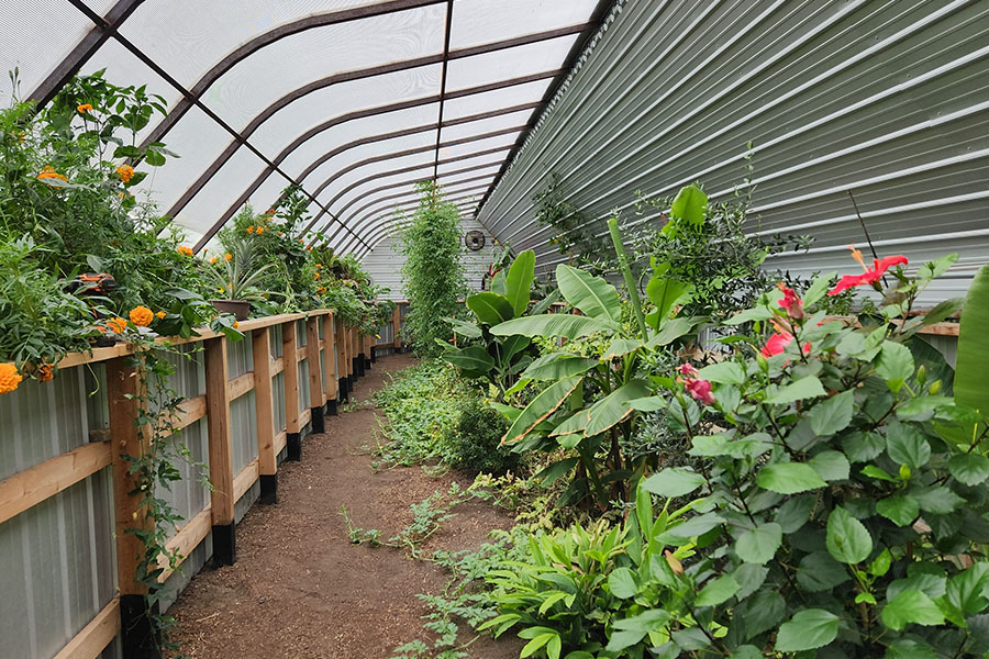 Geothermal Greenhouse - Food Farms Community